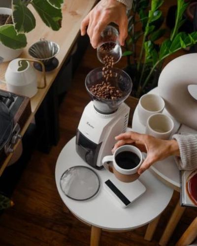 encore conical burr grinder