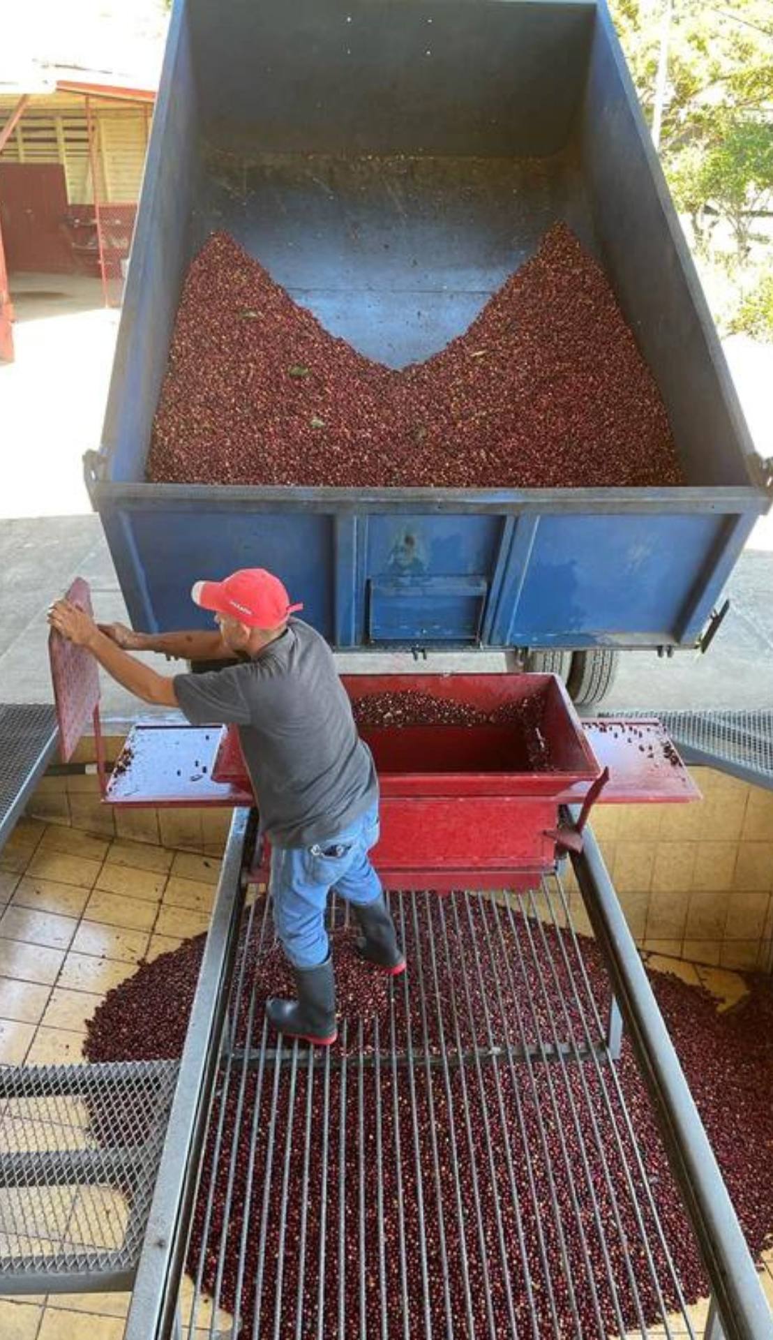 costa rica tesoros volcanicos shb ep